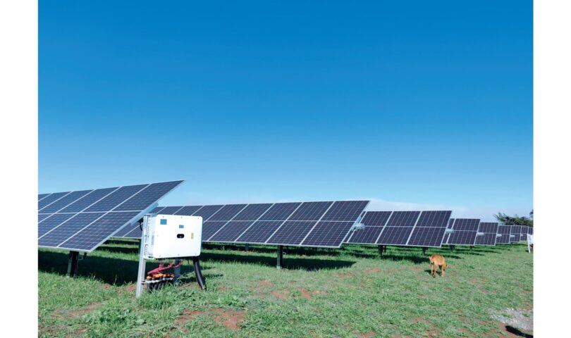 TrinaTracker pumps up localization in Latin America