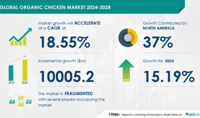 Body Armor Market size is set to grow by USD 9.03 billion from 2024-2028, Rise in security threats to boost the market growth, Technavio