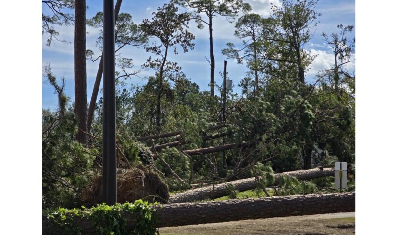 Georgia Power releases key estimated damage statistics from Hurricane Helene as restoration progress continues