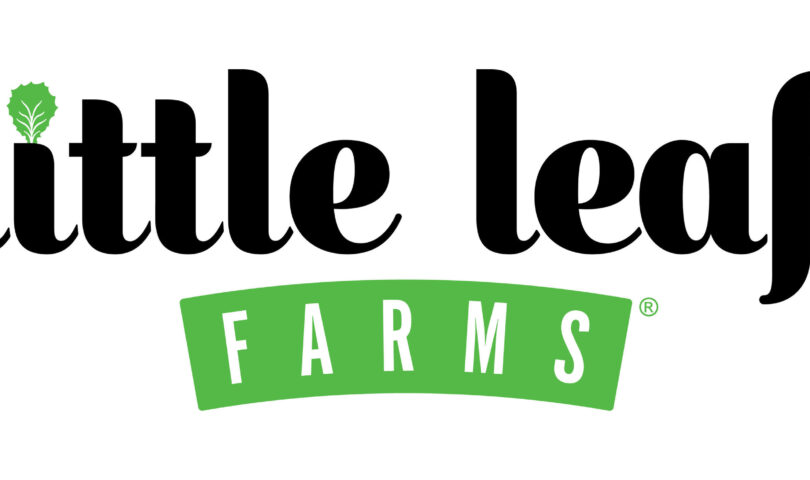 Modest Leaf Farms Introduces Pristine Sesame Ginger Salad Kits