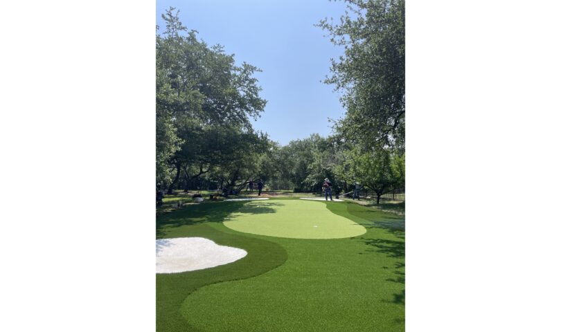 Synthetic Grass Creates Great At-House Striking Inexperienced in Austin, TX