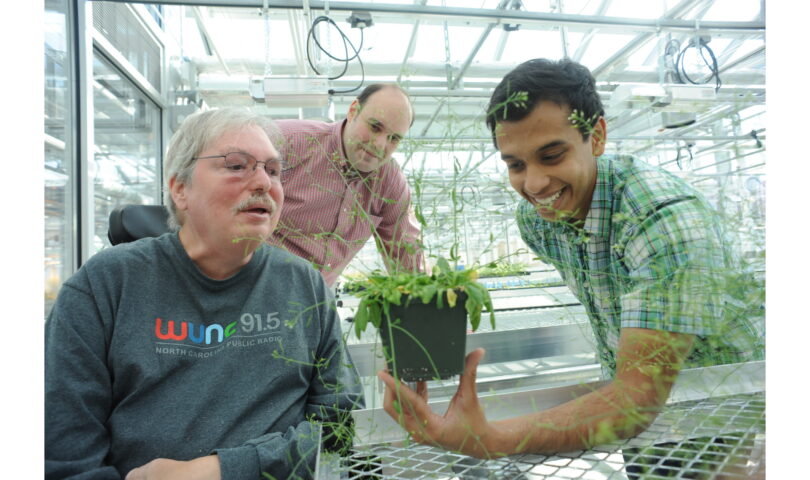 Carolina Biologist Garners Wolf Prize in Agriculture for Groundbreaking Work