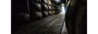 InvestBev Announces Partnership with a Leading Global Asset Manager to Invest up to 0 million in Kentucky Bourbon Barrels