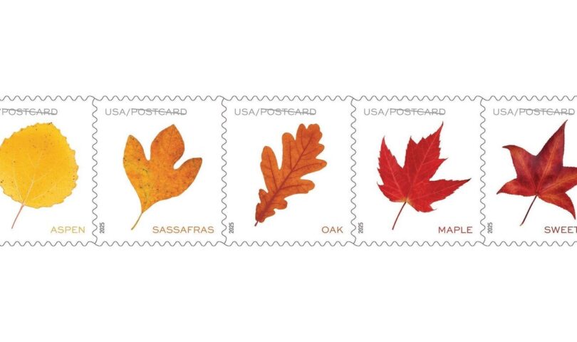 Vibrant Leaves Fall Onto Postcard Stamps