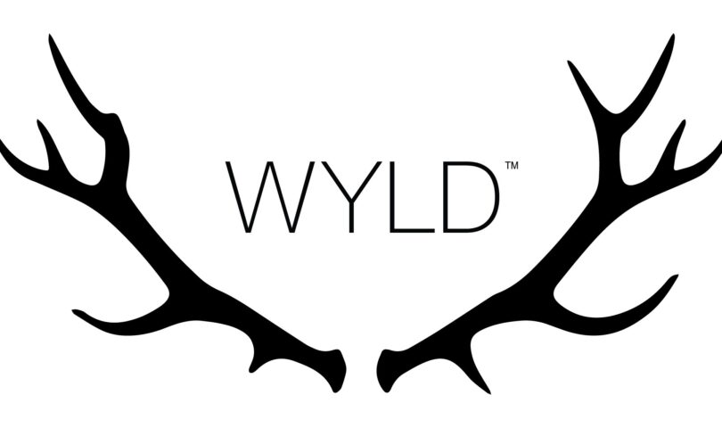 A Proactive, Justice-Targeted Program That Redefines The Dating Between Endeavor and Activism