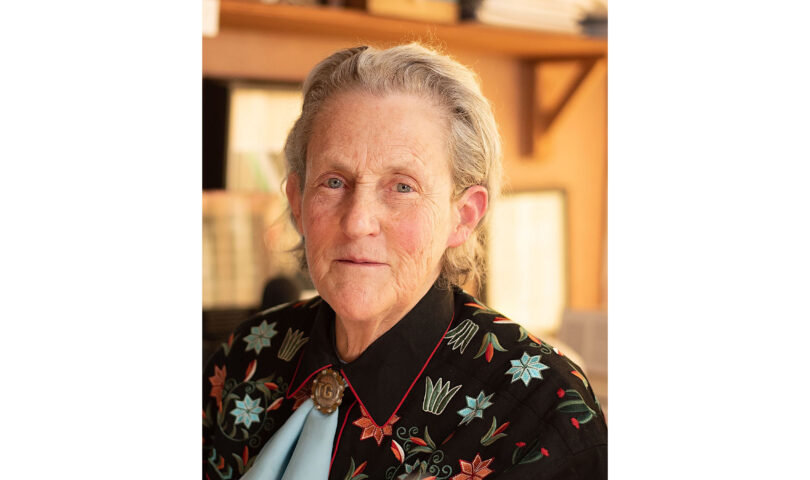 Dr. Temple Grandin receives prestigious 2025 AVMA Humane Award