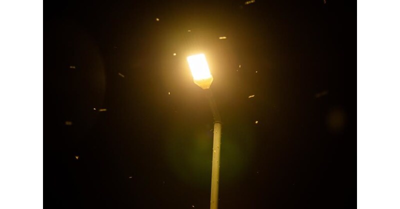 Travel Safely on Ohio’s Lakeshore Roads During Mayfly Season