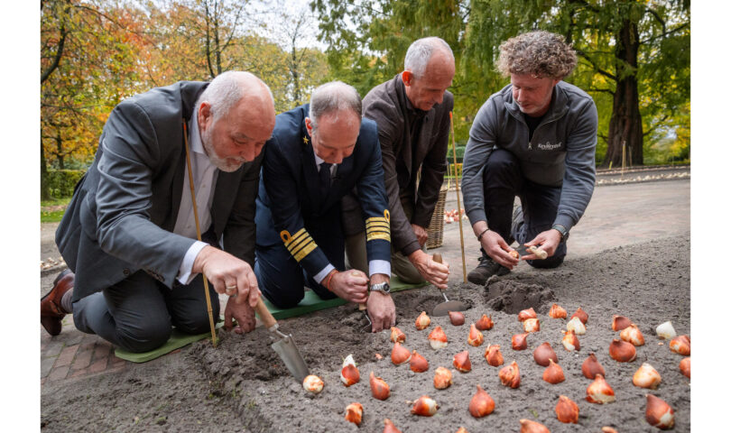 Holland America Line Unveils Exclusive Tulip to Celebrate Dutch Heritage and Timeless Traditions