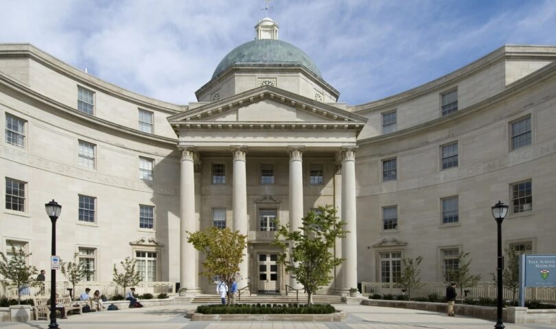 27 YSM Faculty Members Recognized for Highly Cited Research