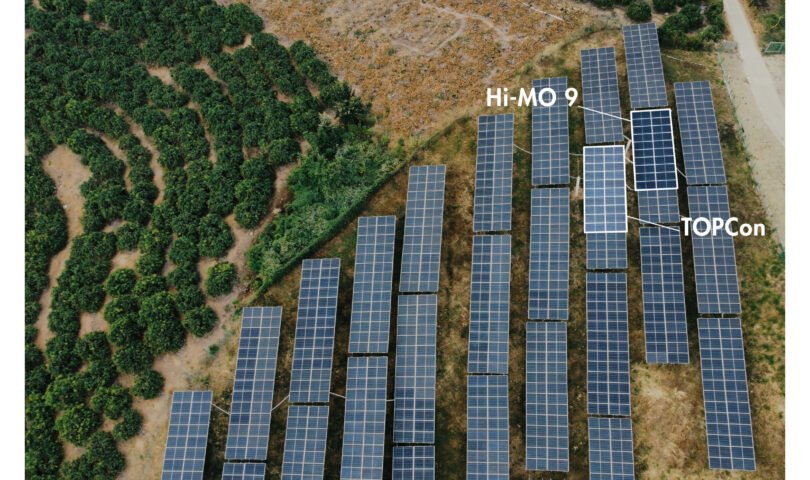 rendimiento y fiabilidad superan las expectativas