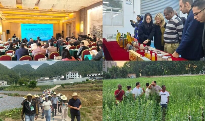 Wingderm® gibt die MDR-Zertifizierung für das nicht-ablative fraktionierte Lasersystem Renuva 1550nm bekannt