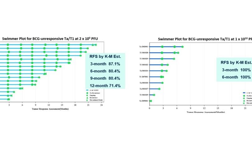Immvira Announced Its MVR-T3011 Latest Clinical Results in BCG-Unresponsive Bladder Cancer Patients at 2025 Annual Meeting of the Society of Urologic Oncology